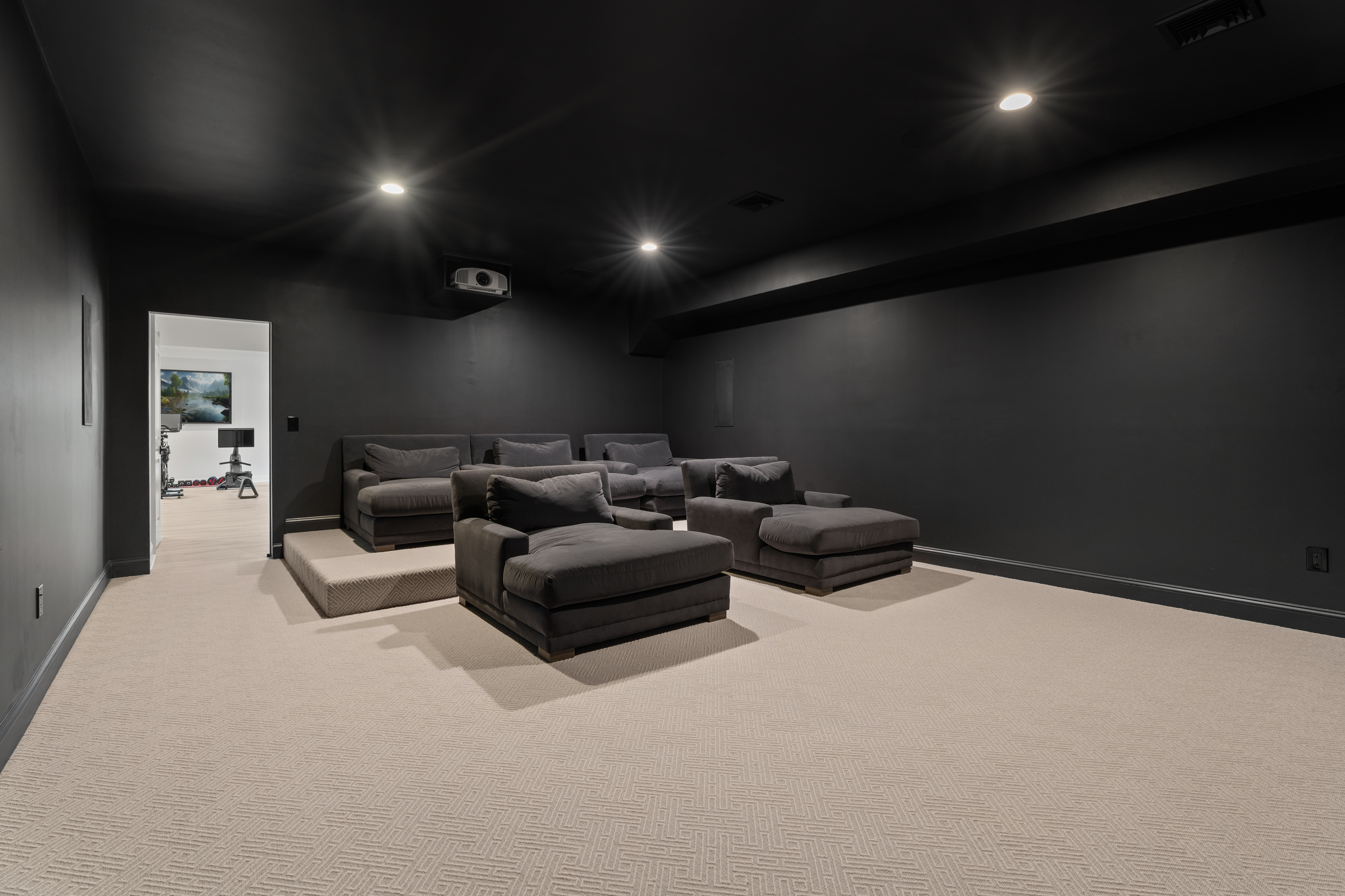 Home Theater